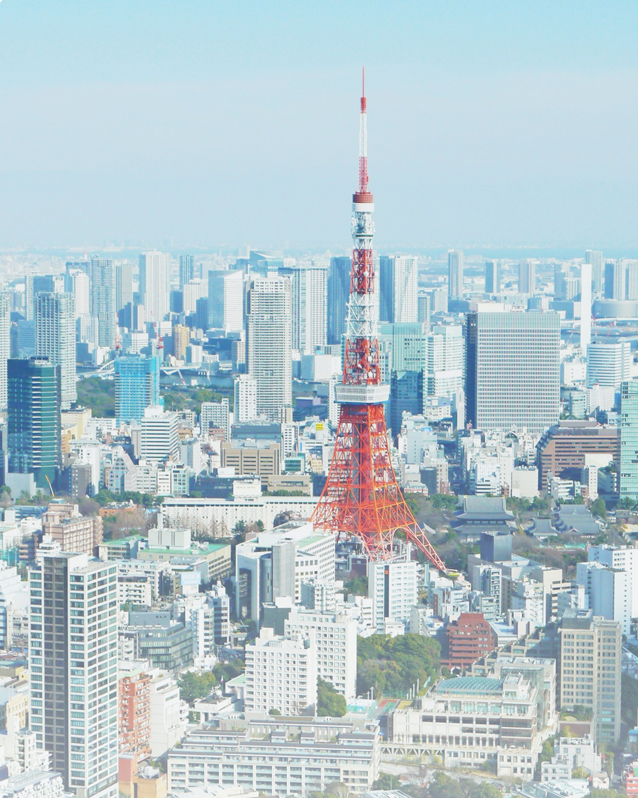 東京タワーと街並み